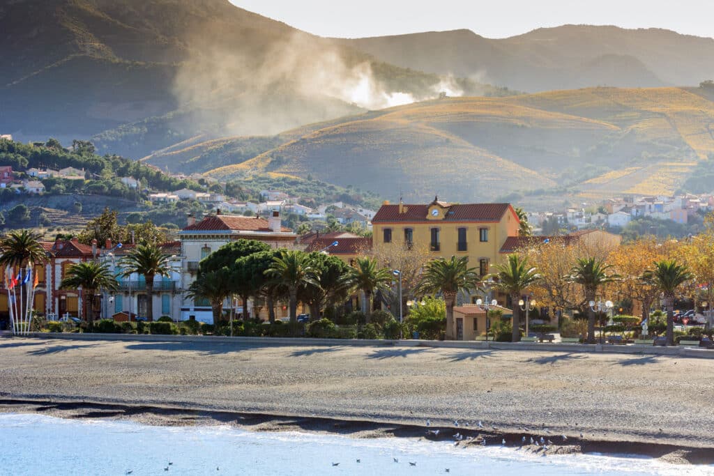banyuls-sur-mer-en-los-pirineos-orientales-camping-4-etoiles-taxo-les-pins
