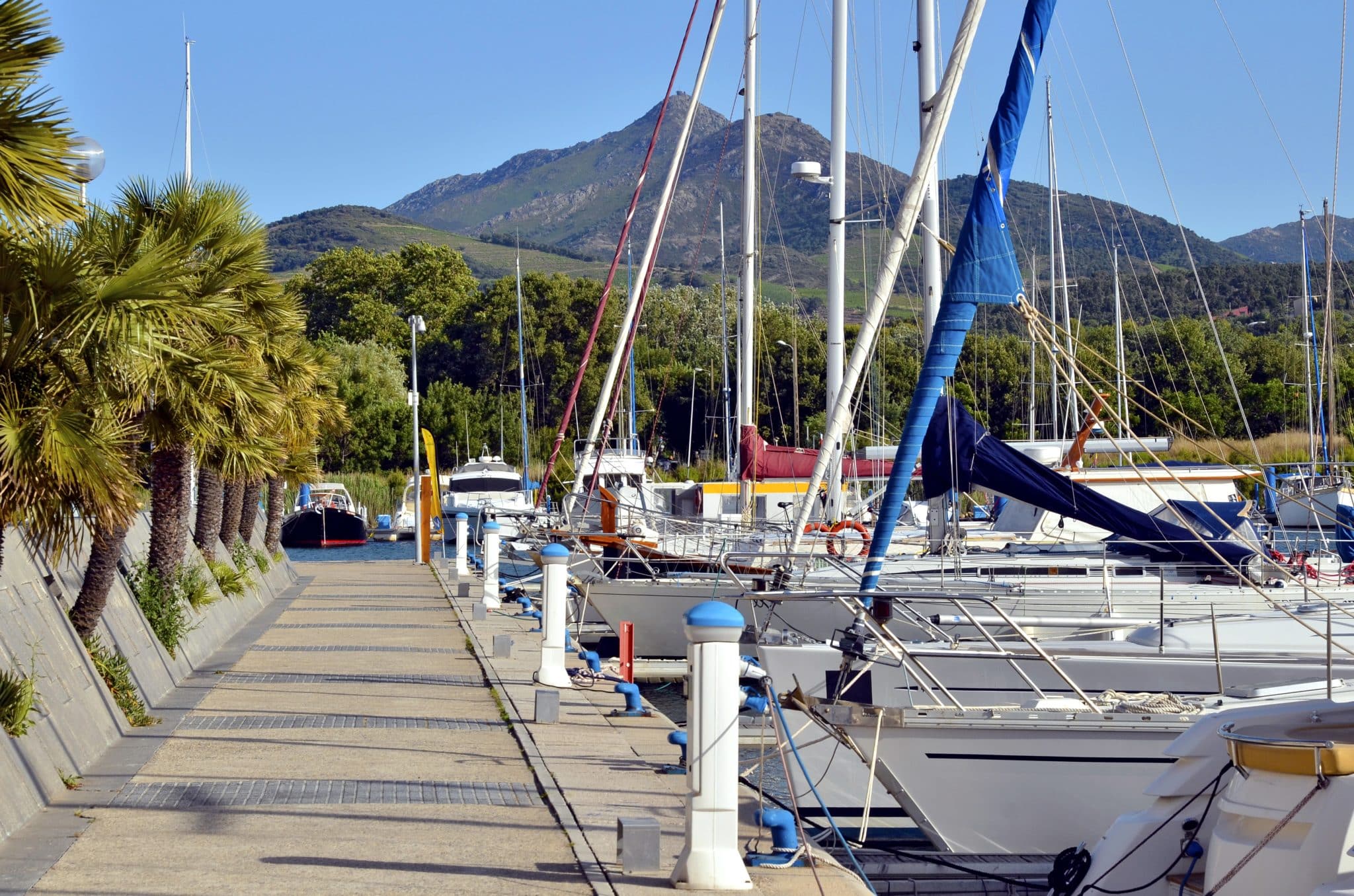 decouvrir-argeles-sur-mer-scaled