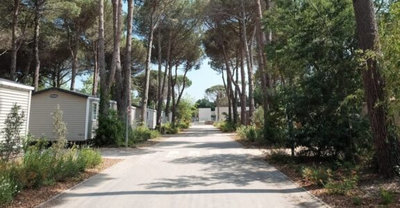Discover our campsite located on the coast of Argelès