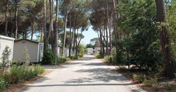 CAMPING-OMBRAGE-SUD